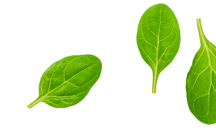 Inclusion-Spinach